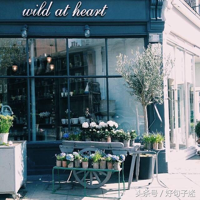 雨果经典语录，很精辟很现实，朋友圈必备！(图3)