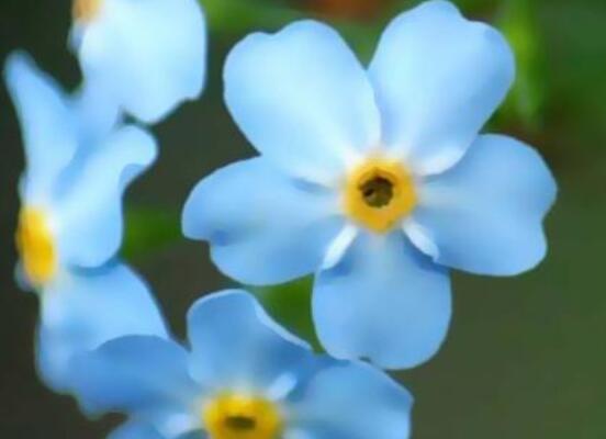 两个心愿的唯美句子(两个心愿的唯美句子简短)(图1) 两个心愿的唯美句子(两个心愿的唯美句子简短)(图1)