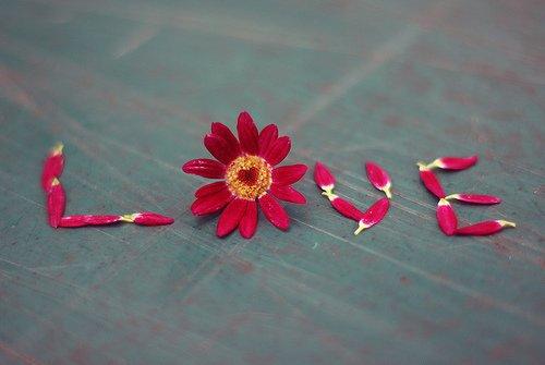 乐天派歌词短句子（乐天派歌词短句子大全）(图1)