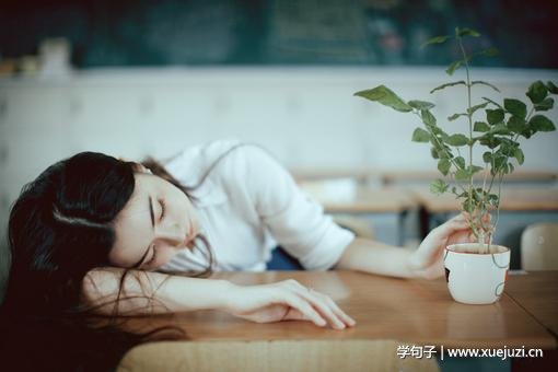 世界杯口号文案短句（啤酒节的文案怎么写）(图1)