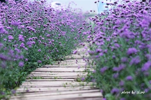 个性签名八字短句励志（个性签名八字短句励志图片高清）(图1)