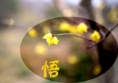 五分钟早会励志小故事（晨会五分钟分享小故事）(图1)