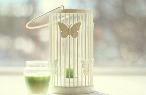 中国女排精神励志语录（女排精神的经典语录）(图1)