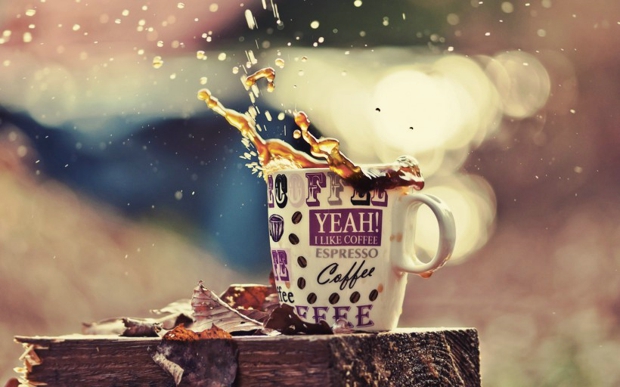 主动出击励志名言(主动行动的名言有哪些)(图1) 主动出击励志名言(主动行动的名言有哪些)(图1)