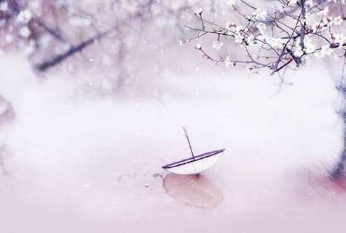 为你我放弃很多语录（我愿意为你放弃一切句子说说）(图1)