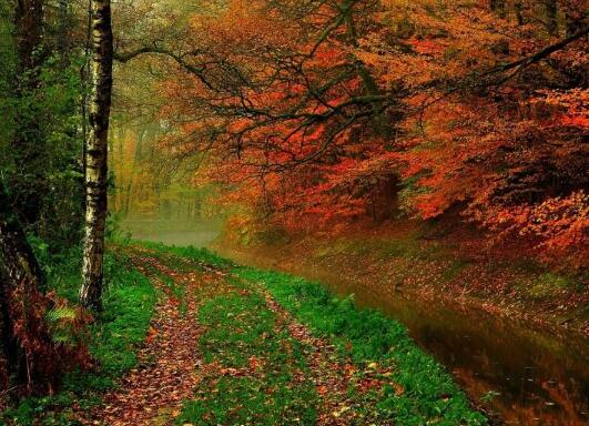 互相帮助的励志名言简短（形容互相帮助的名言警句）(图1)