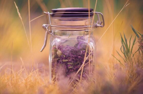 人生三杯酒的唯美句子（人生这杯酒怎么喝都是醉句子）(图1)