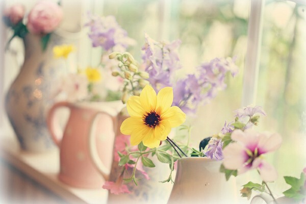 人生十不该经典语录（最精辟人生哲理语录十个字）(图1)