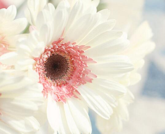 亲子陪伴的文案短句(陪伴孩子的暖心文案图片)(图1) 亲子陪伴的文案短句(陪伴孩子的暖心文案图片)(图1)