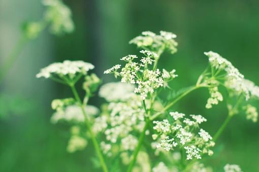 人生不易的励志格言(励志语录人生不易)(图1) 人生不易的励志格言(励志语录人生不易)(图1)