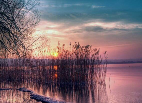 人生努力名言励志(努力励志名言名句大全)(图1) 人生努力名言励志(努力励志名言名句大全)(图1)