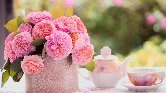 享受生活英文优美句子(享受慢生活的英文)(图1) 享受生活英文优美句子(享受慢生活的英文)(图1)