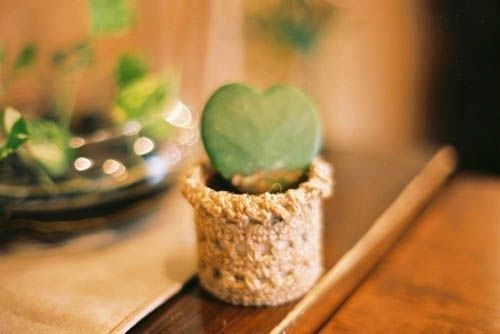 人类站在最高峰语录（站在高处的风景图）(图1)