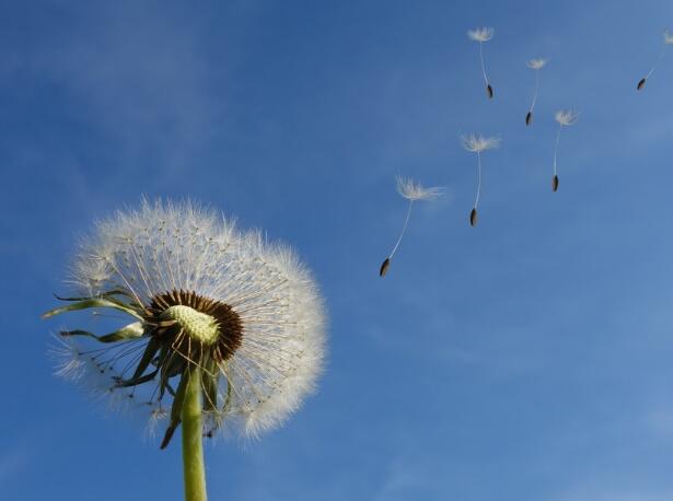 人生格言和人生信条（人生信条经典句子）(图1)
