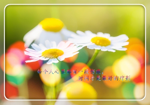 人和动物和谐相处格言（人与动物和谐相处的名句）(图1)