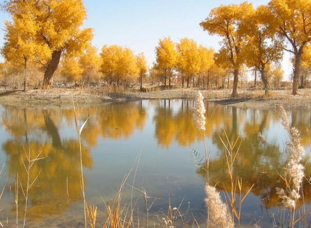 人生逆境的励志名人名言(人生逆境的励志名人名言短句)(图1) 人生逆境的励志名人名言(人生逆境的励志名人名言短句)(图1)