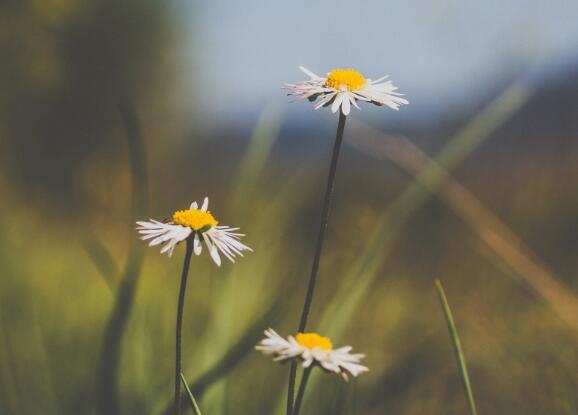 人穷志不短励志作文5篇(穷人不穷志作文)(图1) 人穷志不短励志作文5篇(穷人不穷志作文)(图1)