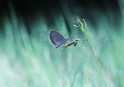 人要有高远的志向的格言(关于高远志向的名言)(图1) 人要有高远的志向的格言(关于高远志向的名言)(图1)