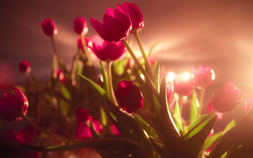 人生七杯茶经典语录(人生三杯茶的句子)(图1) 人生七杯茶经典语录(人生三杯茶的句子)(图1)