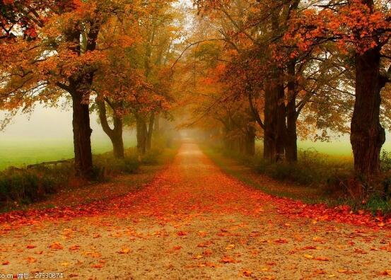 人生不设限经典格言(人生不设限经典语录和感想感悟)(图1) 人生不设限经典格言(人生不设限经典语录和感想感悟)(图1)