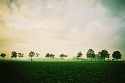 今生和来世的说说（今生今世说说）(图1)