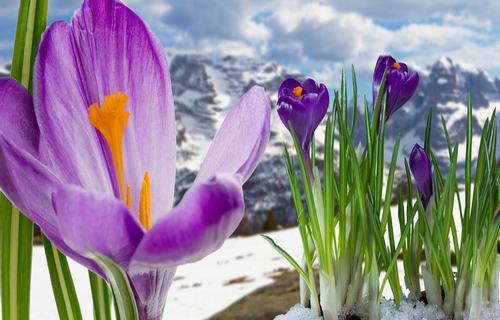 优秀家风家训格言内容(优秀家风家训格言)(图1) 优秀家风家训格言内容(优秀家风家训格言)(图1)