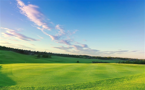 伤感失落的短句子(伤感句子表达心情失落的图片)(图1) 伤感失落的短句子(伤感句子表达心情失落的图片)(图1)