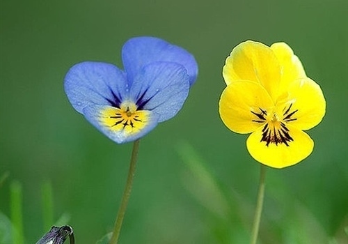 伤感文字摘抄短句(伤感美句摘抄大全)(图1) 伤感文字摘抄短句(伤感美句摘抄大全)(图1)