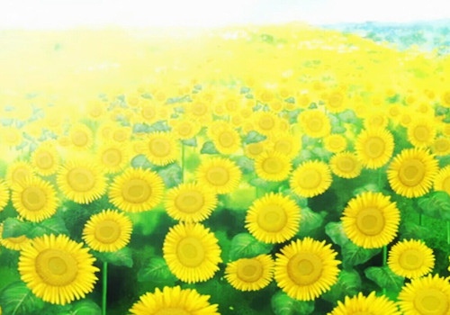 伤感的经典短句大全(比较伤感的句子短句)(图1) 伤感的经典短句大全(比较伤感的句子短句)(图1)