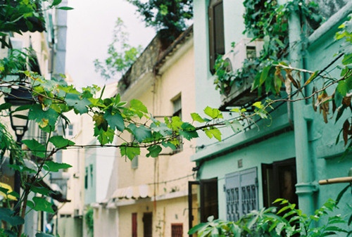 伴郎英文短句文案(伴郎祝福语文案简短)(图1) 伴郎英文短句文案(伴郎祝福语文案简短)(图1)