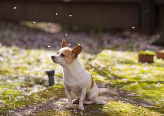 伴你成长文案短句(成长文案短句子)(图1) 伴你成长文案短句(成长文案短句子)(图1)