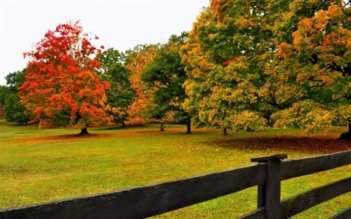 低调的人生格言和感觉(低调而又励志的句子)(图1) 低调的人生格言和感觉(低调而又励志的句子)(图1)