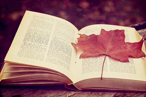 你是我最亲爱的句子说说(你是我最亲爱的句子说说简短英文)(图1) 你是我最亲爱的句子说说(你是我最亲爱的句子说说简短英文)(图1)