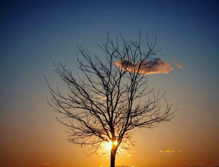 儿童相册小短句英语（宝宝相册英文）(图1)