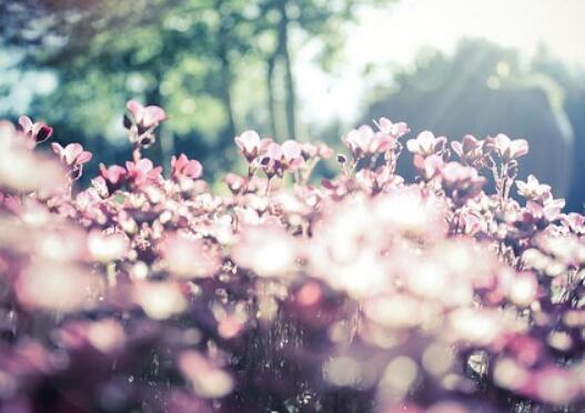 健身健康励志正能量句子(健身正能量的话励志的语句简短)(图1) 健身健康励志正能量句子(健身正能量的话励志的语句简短)(图1)