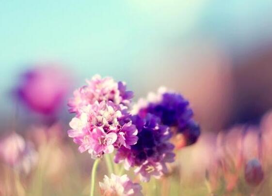 儿时的记忆优美句子(表达儿时记忆美好的句子)(图1) 儿时的记忆优美句子(表达儿时记忆美好的句子)(图1)