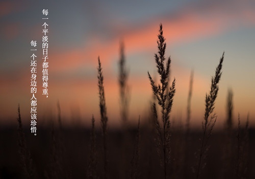 八个字的霸气励志句子(霸气励志句子八个字以内)(图1) 八个字的霸气励志句子(霸气励志句子八个字以内)(图1)