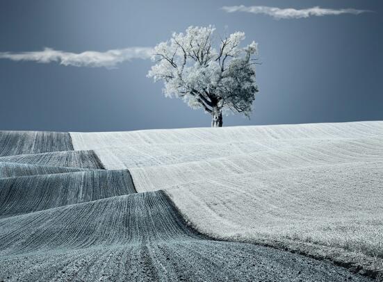 光头强小助手经典语录(光头强说过最经典的一句话)(图1) 光头强小助手经典语录(光头强说过最经典的一句话)(图1)