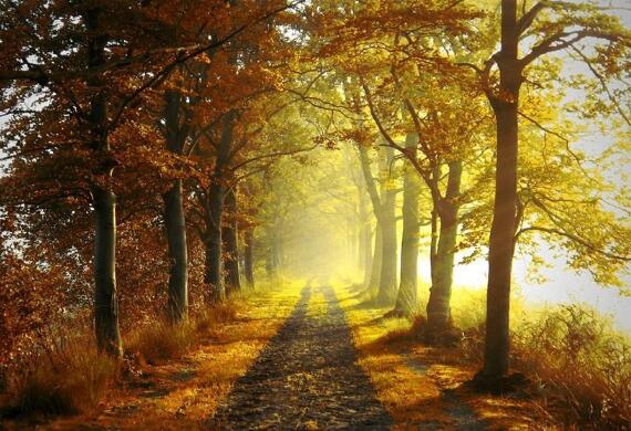 八字名言励志短句(八字励志语录经典短句)(图1) 八字名言励志短句(八字励志语录经典短句)(图1)