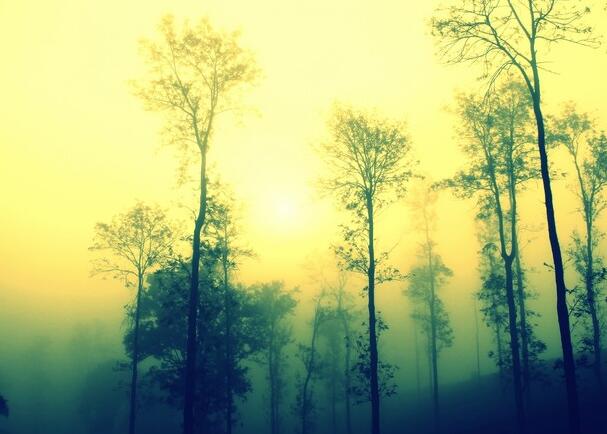 公众号文案短句干净(文案干净治愈长句)(图1) 公众号文案短句干净(文案干净治愈长句)(图1)