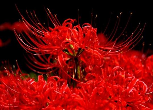 六字励志名言霸气(6字霸气名言)(图1) 六字励志名言霸气(6字霸气名言)(图1)