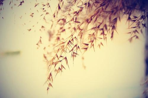 关于修身养性的名言论语（论语中关于修身的名言有哪些）(图1)