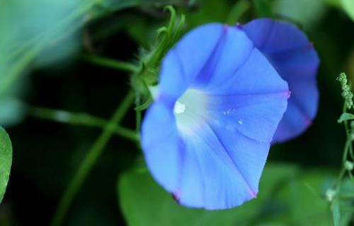 关于决心的英语格言（关于下决心的英语名言）(图1)