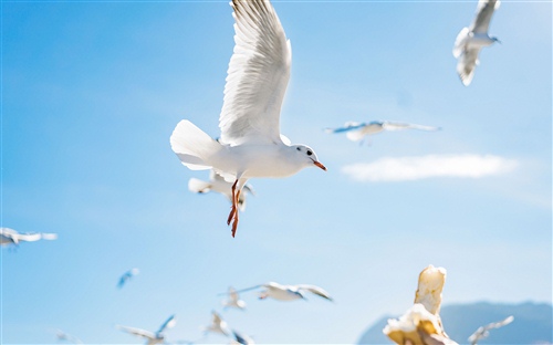 关于人潮拥挤的唯美句子(人潮汹涌的优美句子)(图1) 关于人潮拥挤的唯美句子(人潮汹涌的优美句子)(图1)