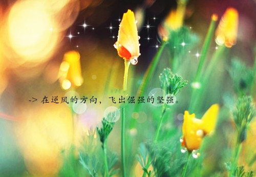 关于勤奋励志名言警句(勉励勤奋的名言警句)(图1) 关于勤奋励志名言警句(勉励勤奋的名言警句)(图1)