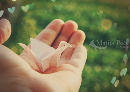 关于北方冬天的优美句子(描写北方夏季的句子有哪些)(图1) 关于北方冬天的优美句子(描写北方夏季的句子有哪些)(图1)