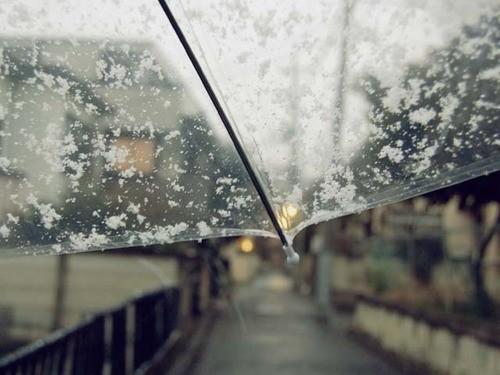 关于发现问题的经典语录（关于发现问题的经典语录英文）(图1)