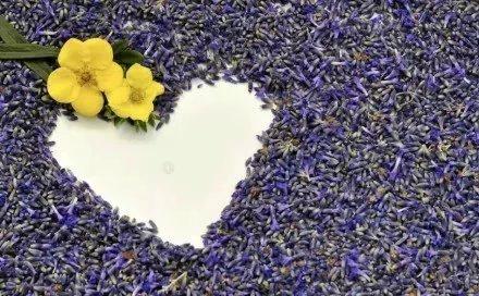 关于合作学习的经典名言（学会合作的名言警句）(图1)