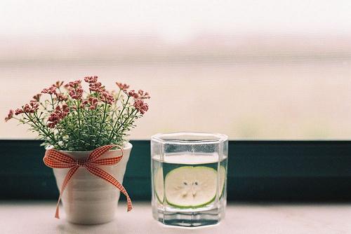 关于味蕾的优美句子(激发味蕾的优美句子)(图1) 关于味蕾的优美句子(激发味蕾的优美句子)(图1)