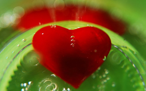 关于团结友善的格言(友善团结的名言警句摘抄)(图1) 关于团结友善的格言(友善团结的名言警句摘抄)(图1)